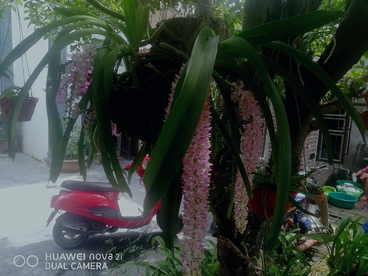 Tamcoc Mr. Cau Homestay Ninh Binh Bagian luar foto