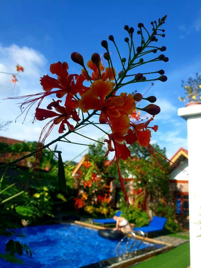 Tamcoc Mr. Cau Homestay Ninh Binh Bagian luar foto
